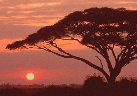 African sunset