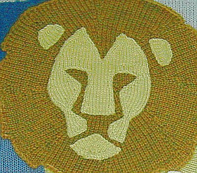 Detail of lion's face